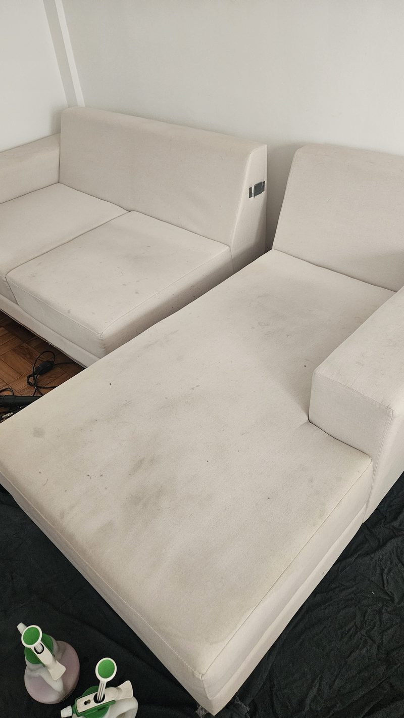 Chaise higienizada em sala de estar